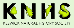 natsinit1